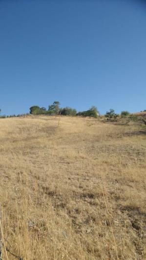 Image No.8-1 Bed Villa for sale