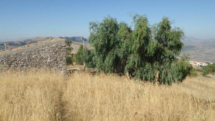 Image No.14-1 Bed Villa for sale