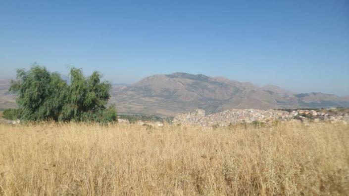 Image No.20-1 Bed Villa for sale