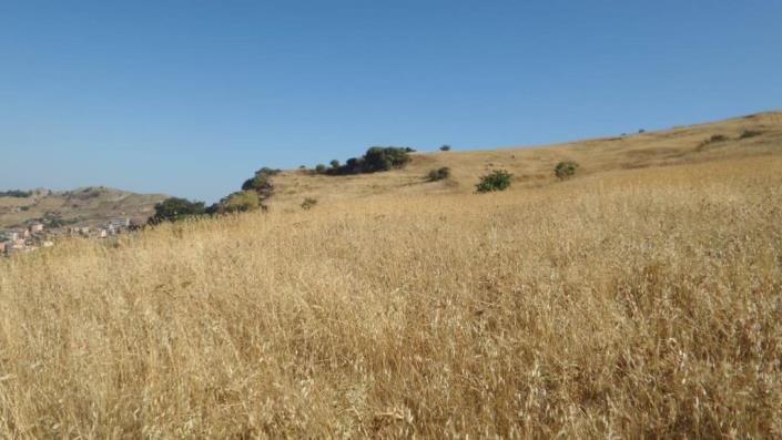 Image No.21-1 Bed Villa for sale