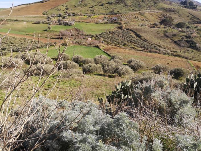 Image No.6-3 Bed Villa for sale