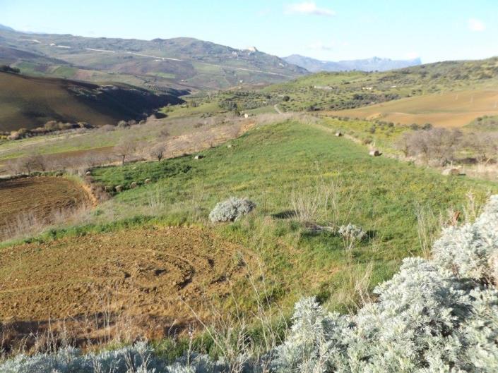 Image No.33-3 Bed Villa for sale