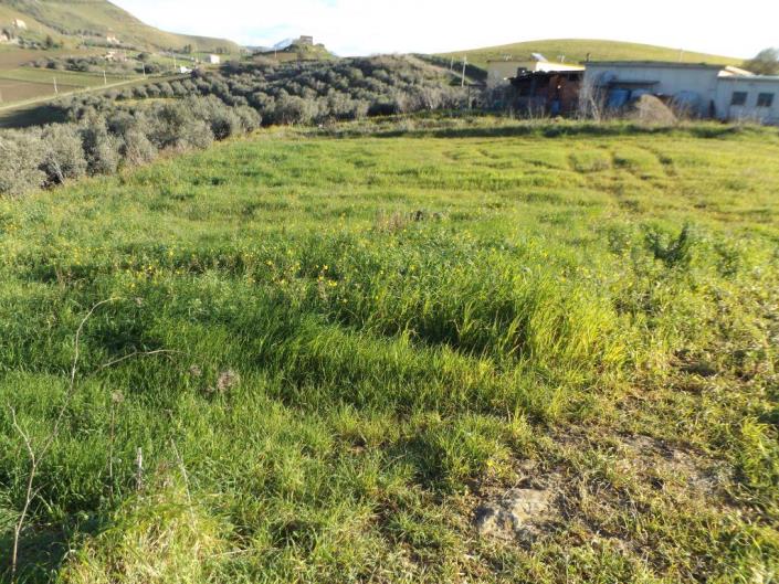 Image No.34-3 Bed Villa for sale