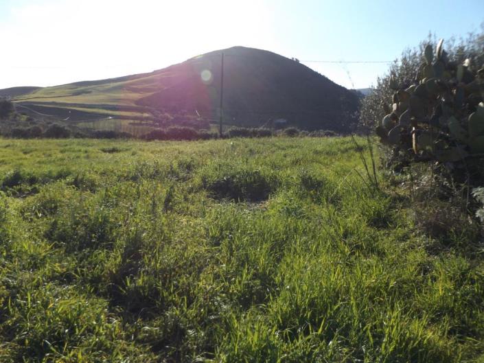 Image No.36-3 Bed Villa for sale