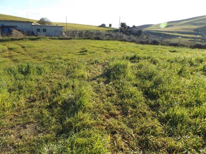 Image No.35-3 Bed Villa for sale