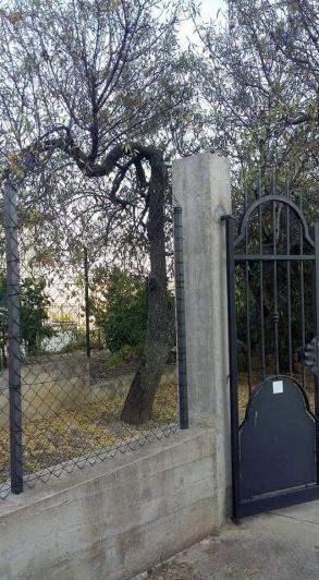 Image No.8-3 Bed Villa for sale