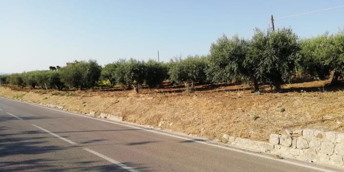 Image No.6-3 Bed Villa for sale