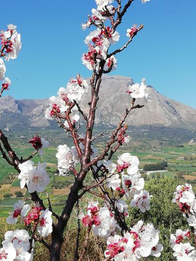 Image No.7-3 Bed Villa for sale