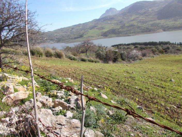 Image No.2-6 Bed Villa for sale