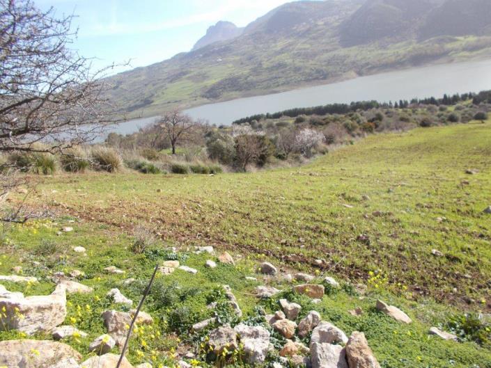 Image No.4-6 Bed Villa for sale