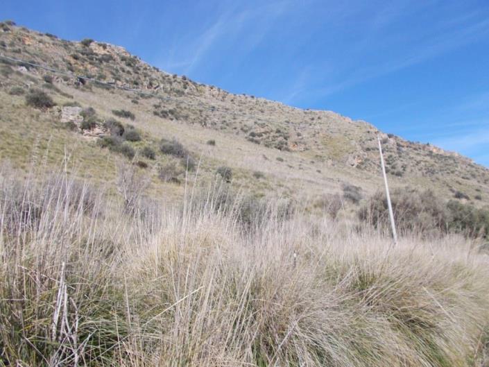 Image No.9-6 Bed Villa for sale