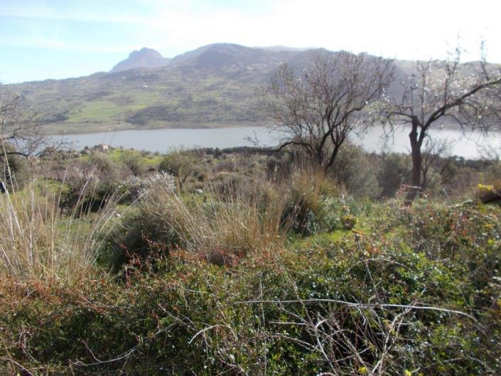 Image No.12-6 Bed Villa for sale