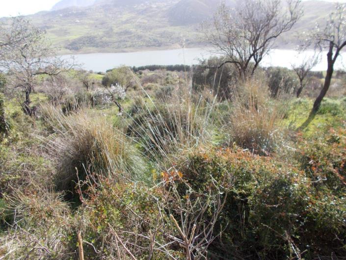 Image No.14-6 Bed Villa for sale