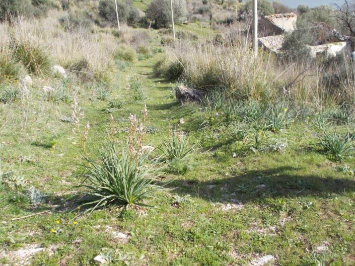 Image No.20-6 Bed Villa for sale