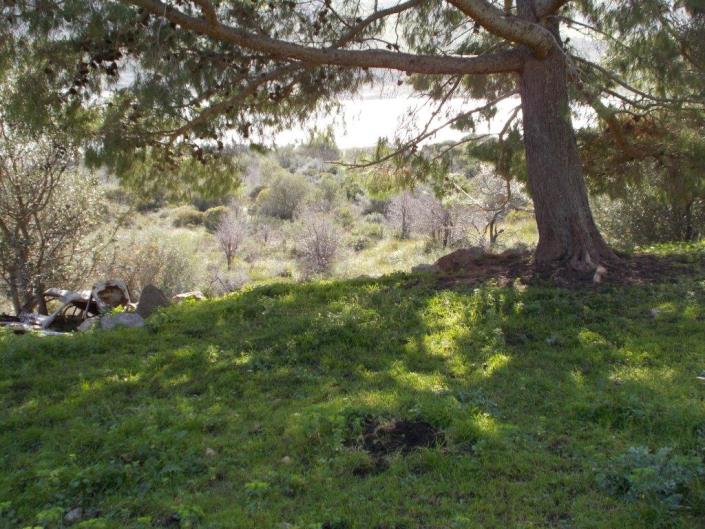 Image No.33-6 Bed Villa for sale