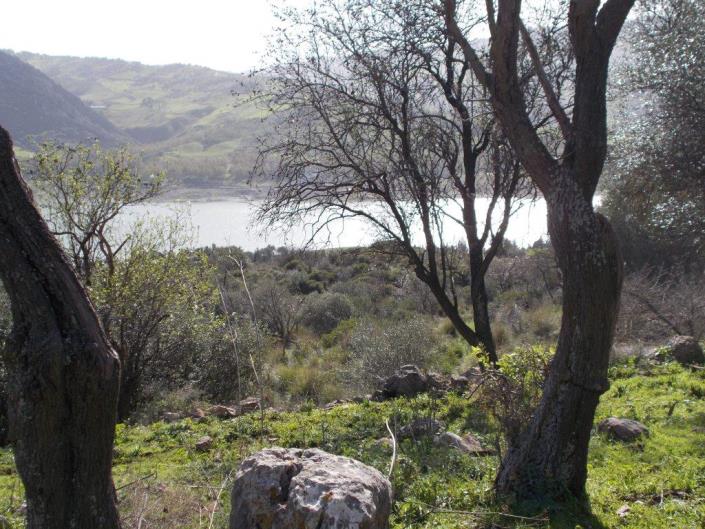 Image No.38-6 Bed Villa for sale