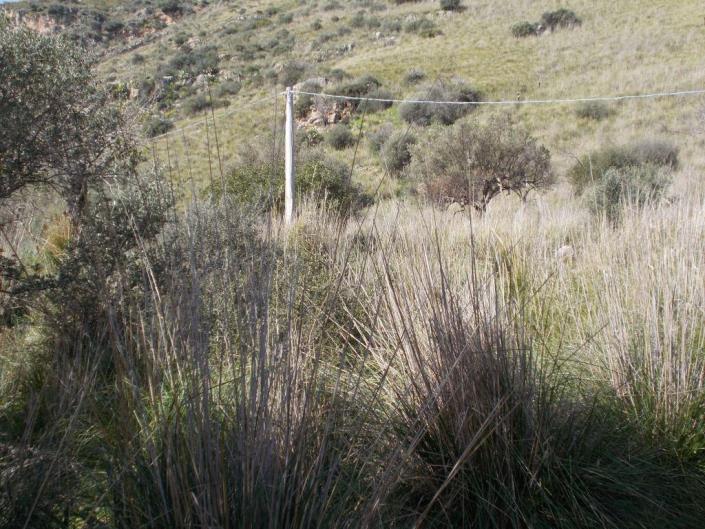 Image No.42-6 Bed Villa for sale