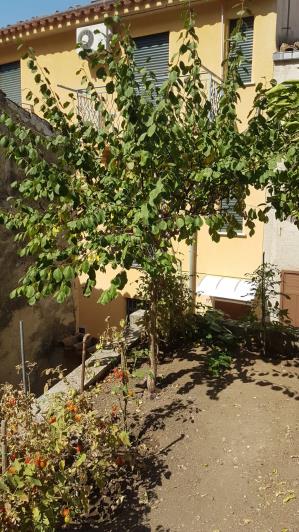 Image No.3-2 Bed Townhouse for sale