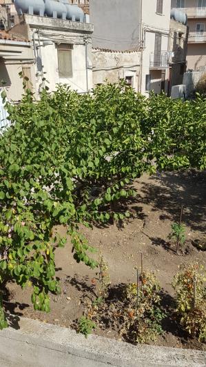 Image No.8-2 Bed Townhouse for sale