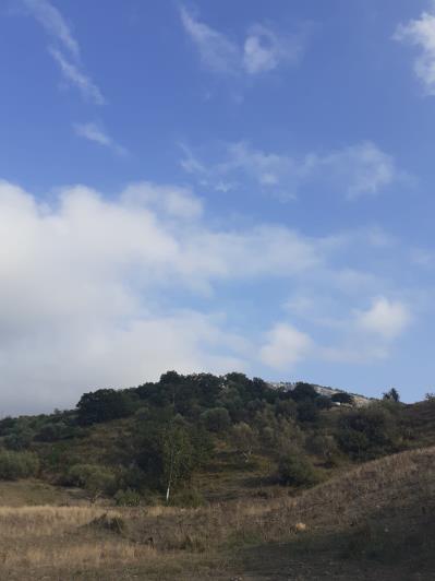 Image No.5-5 Bed Land for sale