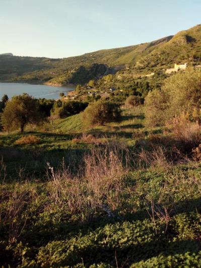 Image No.12-5 Bed Land for sale