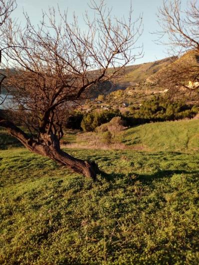 Image No.18-5 Bed Land for sale