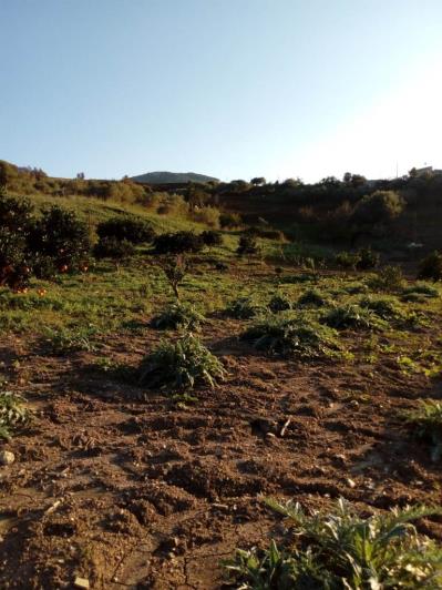 Image No.22-5 Bed Land for sale