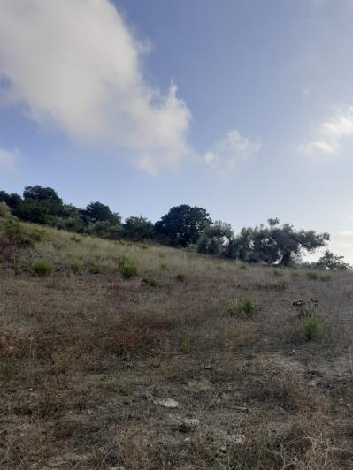 Image No.29-5 Bed Land for sale