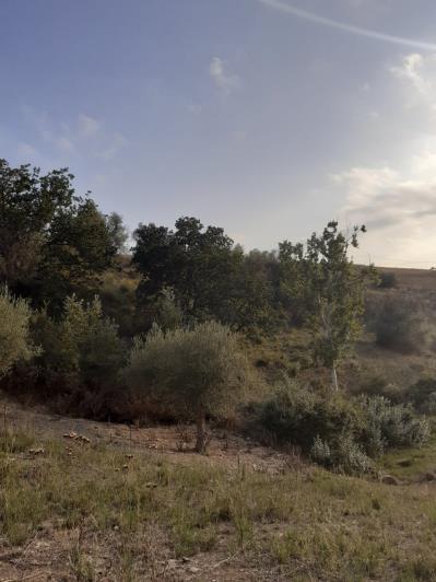 Image No.37-5 Bed Land for sale