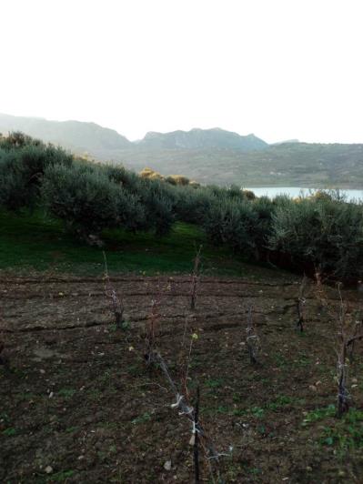 Image No.40-5 Bed Land for sale