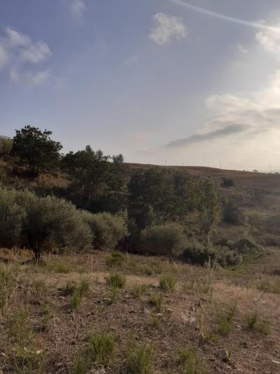 Image No.41-5 Bed Land for sale