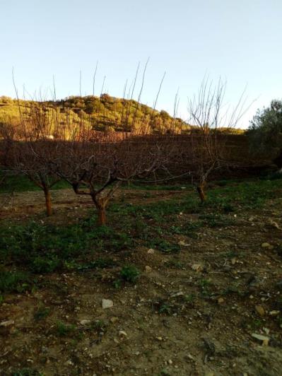 Image No.46-5 Bed Land for sale