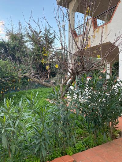 Image No.9-8 Bed Villa for sale