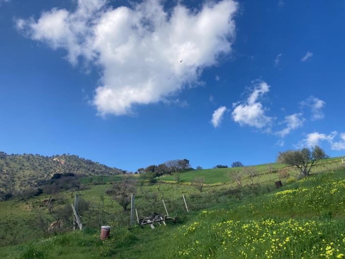 Image No.30-3 Bed Villa for sale