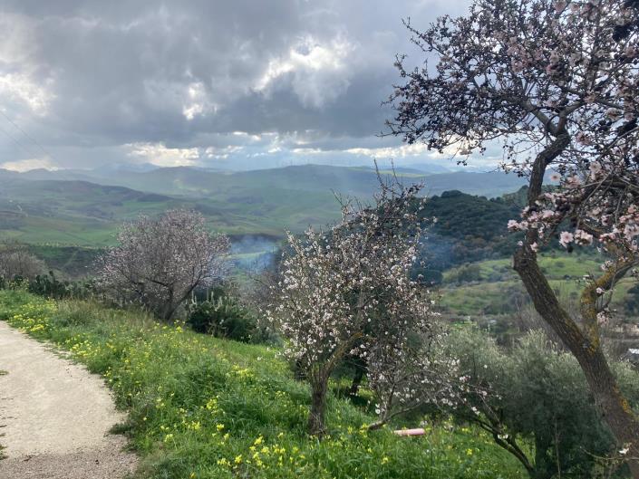 Image No.33-3 Bed Villa for sale