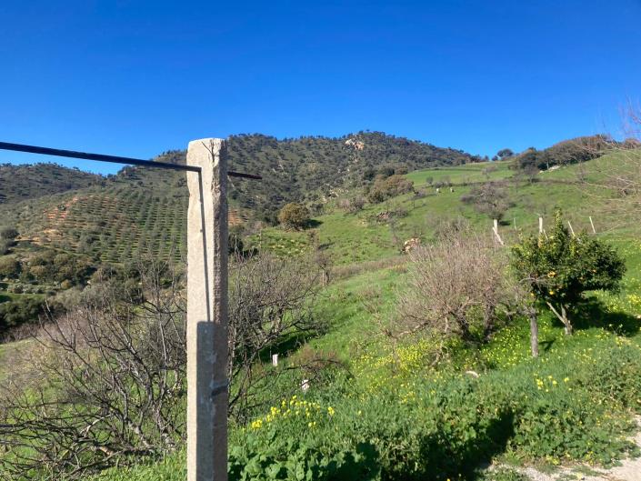 Image No.45-3 Bed Villa for sale