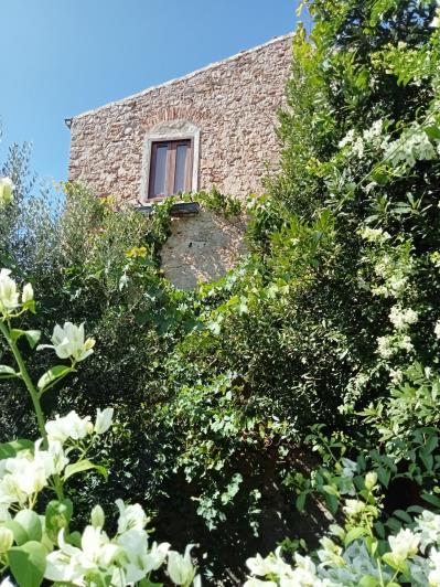 Image No.15-3 Bed House for sale