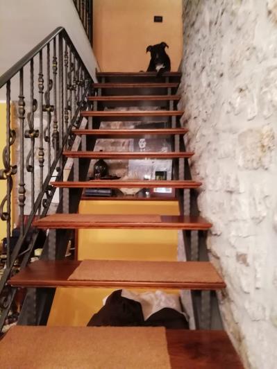 Image No.30-3 Bed House for sale