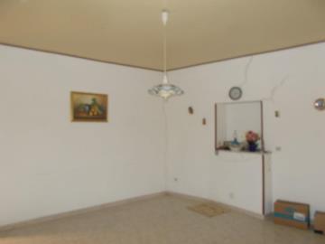 Pagoria-Giovanna---Co---10-