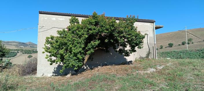 Image No.5-2 Bed House/Villa for sale