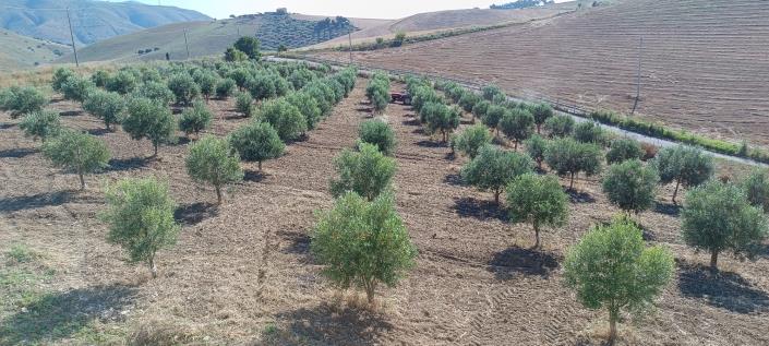 Image No.21-2 Bed House/Villa for sale