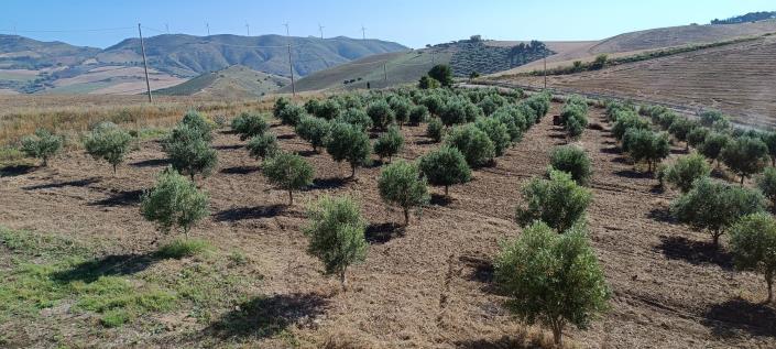 Image No.22-2 Bed House/Villa for sale