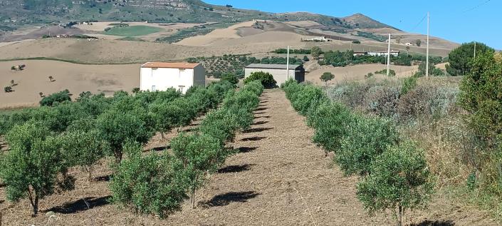 Image No.26-2 Bed House/Villa for sale