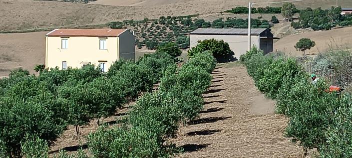 Image No.28-2 Bed House/Villa for sale