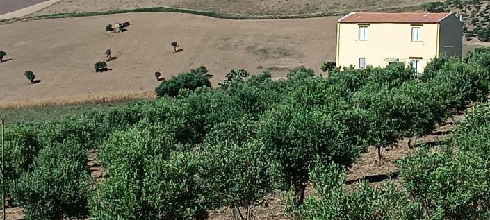 Image No.29-2 Bed House/Villa for sale