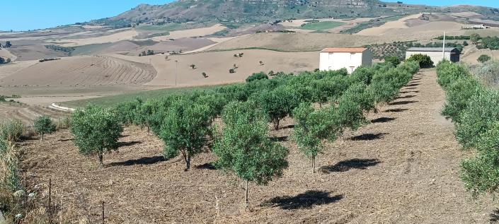 Image No.31-2 Bed House/Villa for sale