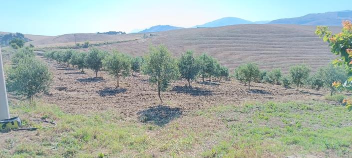 Image No.35-2 Bed House/Villa for sale