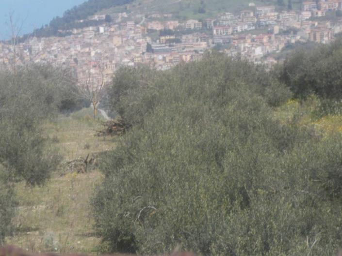 Image No.8-4 Bed Land for sale