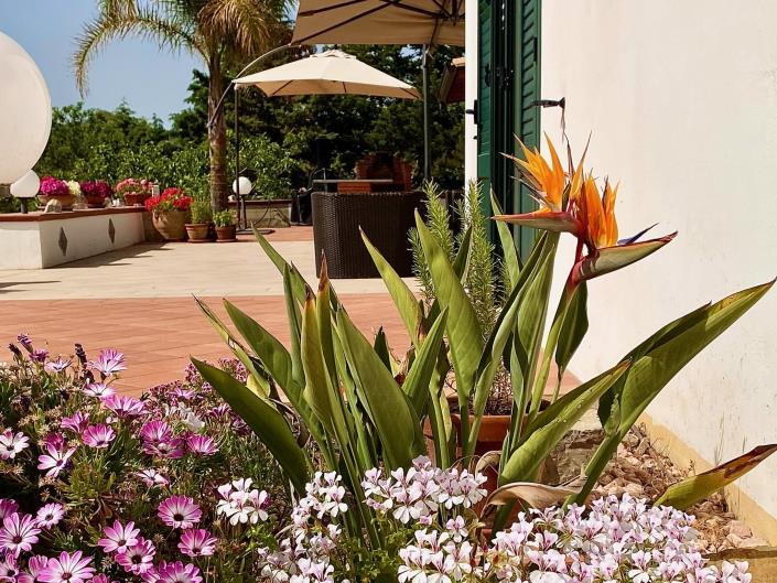 Image No.33-4 Bed Villa for sale