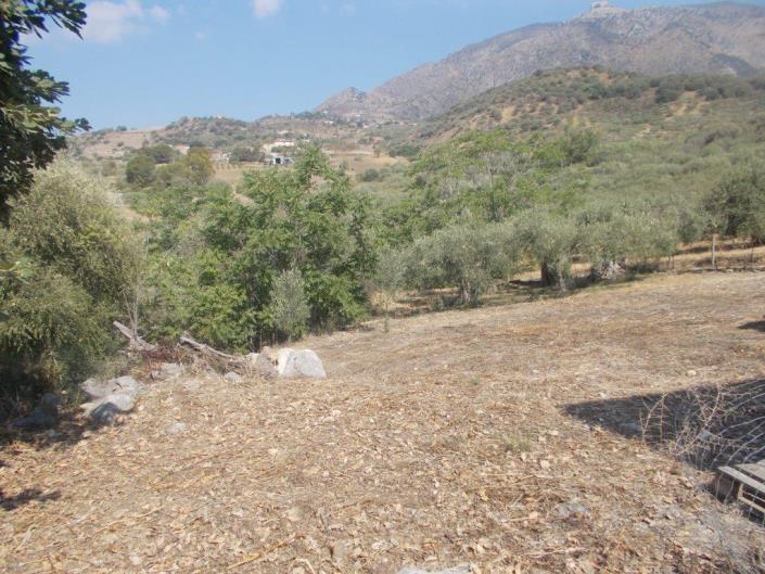 Image No.10-4 Bed Villa for sale